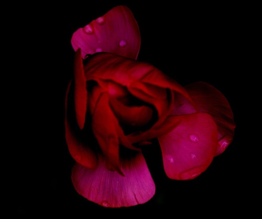 Photograph by Эльвира Быкова