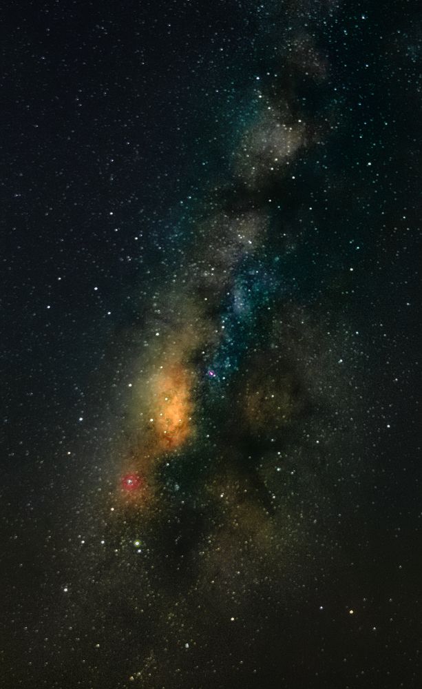 Photograph by Kevin Nguyen