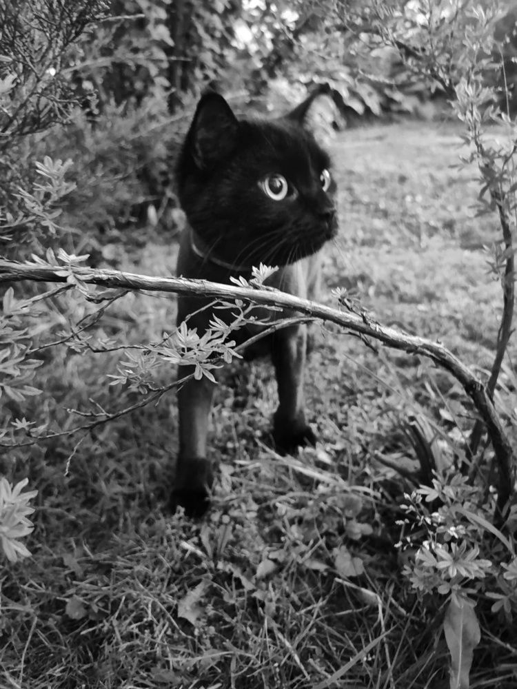 Photograph by Андрей