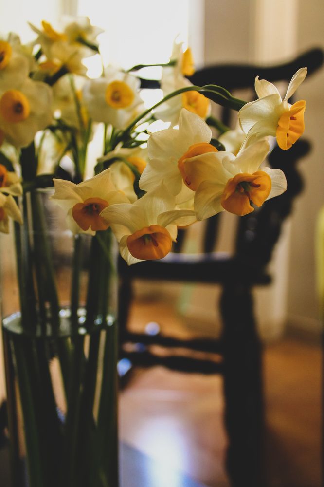 Photograph by talanavard farzad