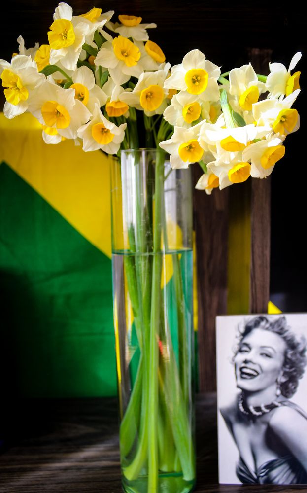 Photograph by talanavard farzad