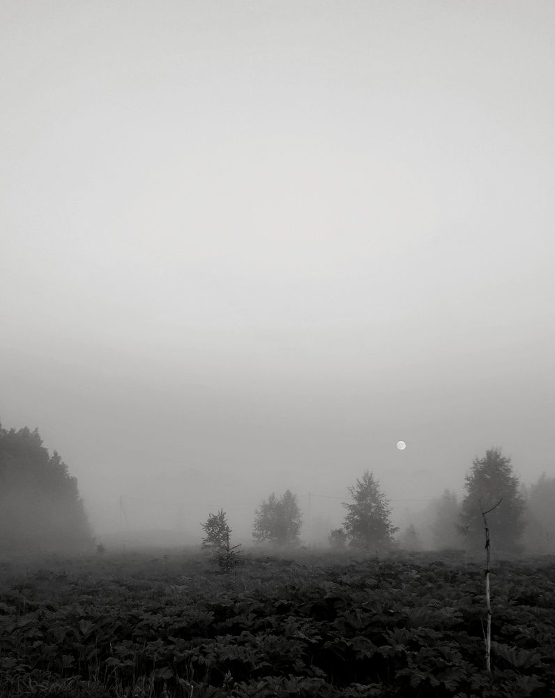 Photograph by Андрей