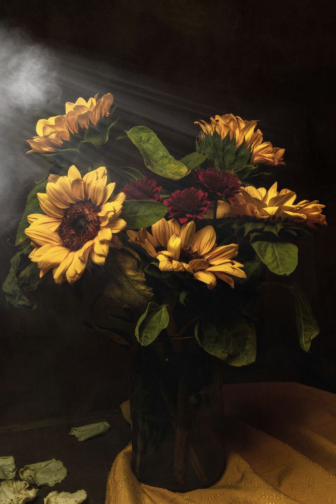 Photograph by Enrique Reyes