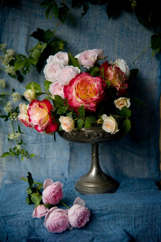 Photograph by Tatiana Troitskaya