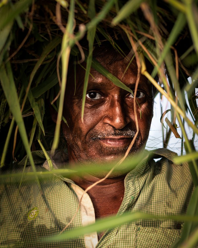 Photograph by Soham Mitra