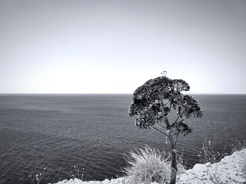 Photograph by Stavros Leftheriotis