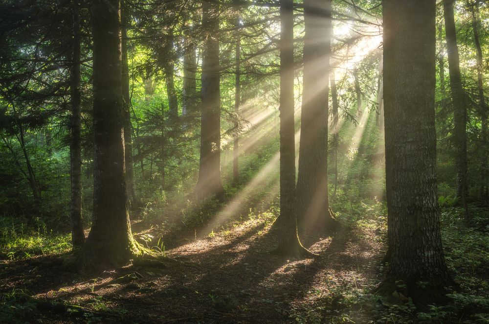 Photograph by Антон Литвин