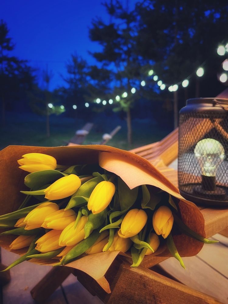 Photograph by Наталья Сережко