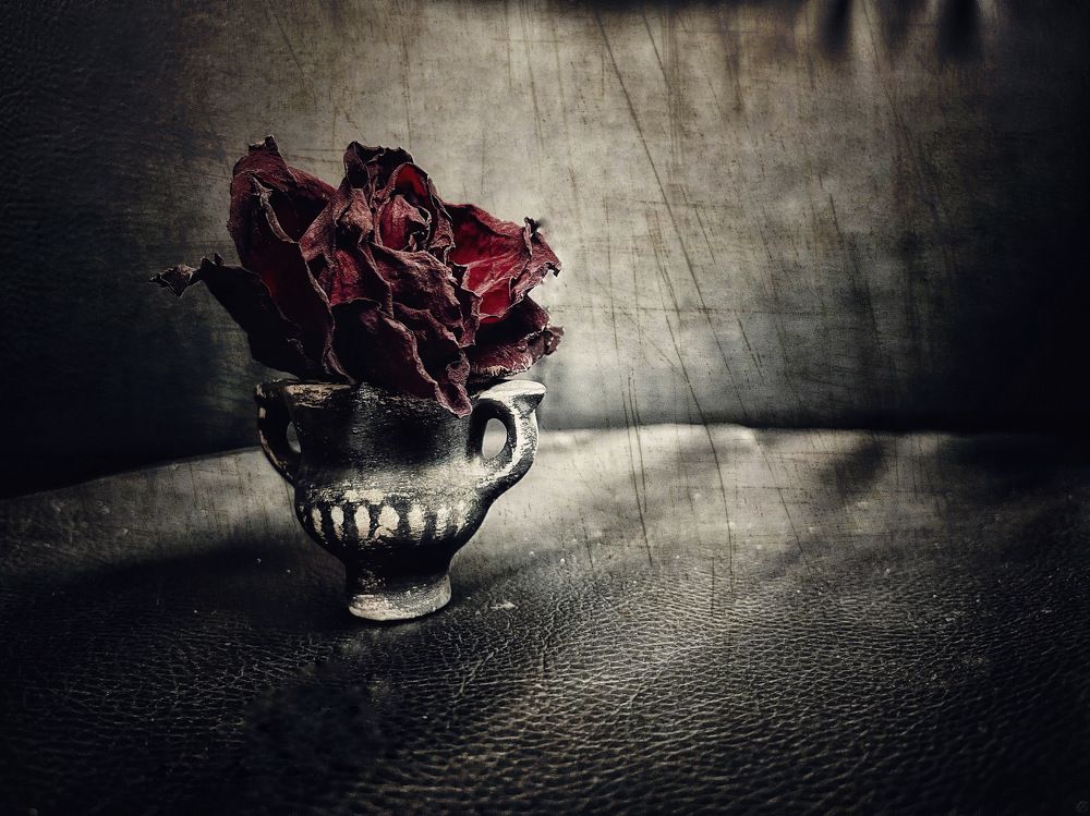 Photograph by Наталья Сережко