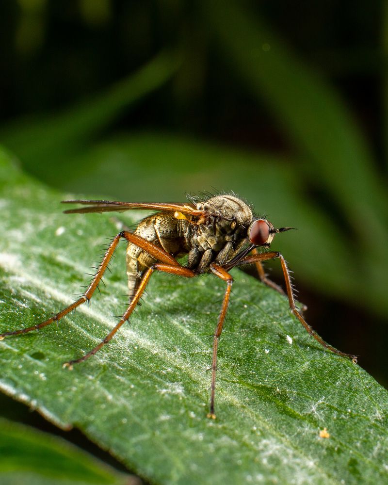 Photograph by Екатерина Талалай