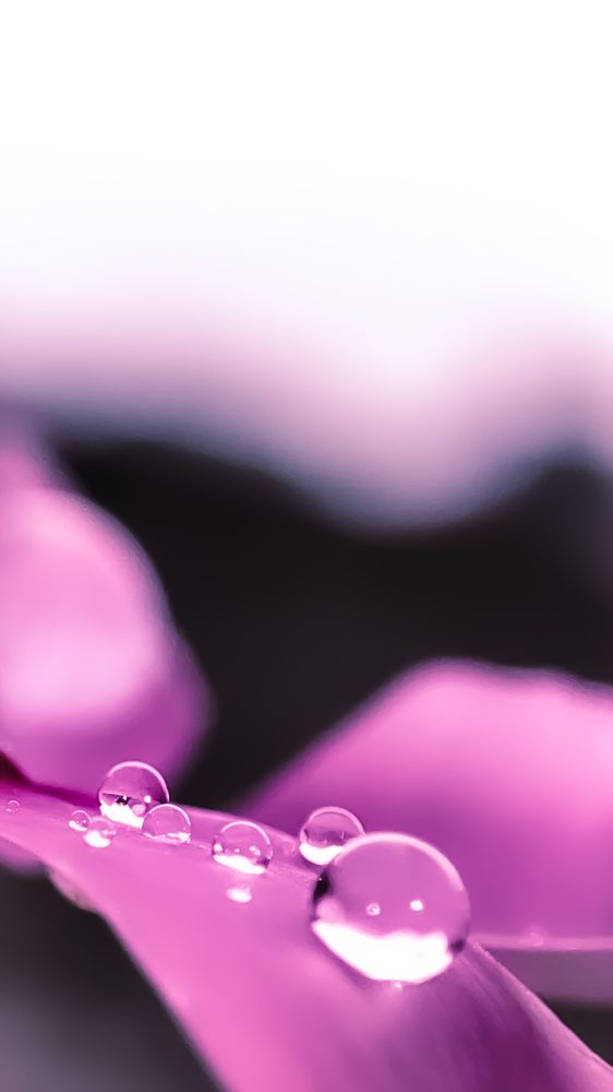 Photograph by Aditya Krishn Jaiswal