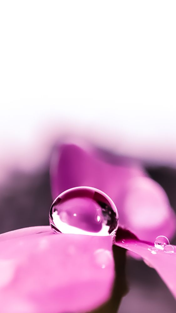 Photograph by Aditya Krishn Jaiswal