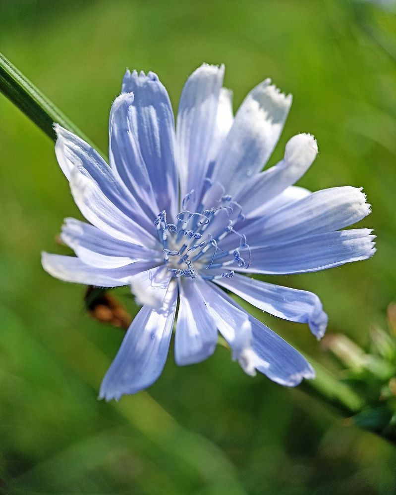 Photograph by Татьяна Чухина