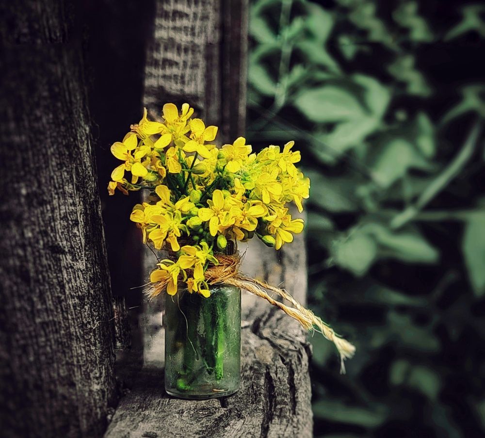 Photograph by Ольга Веселова