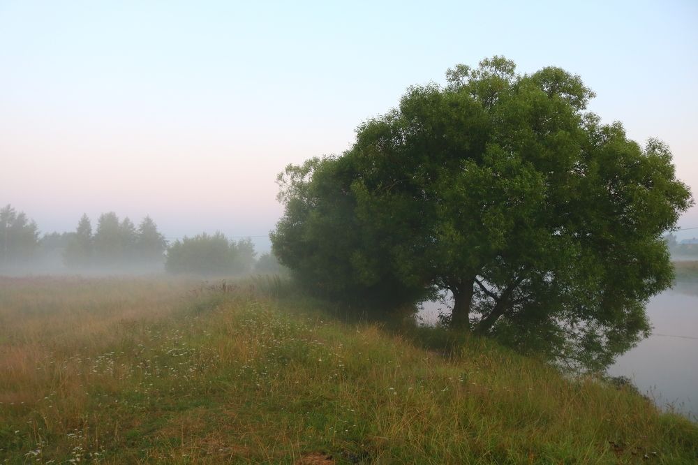 Photograph by Светлана Шуткова