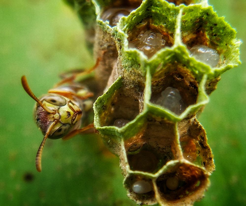 Photograph by Steen Sebastian