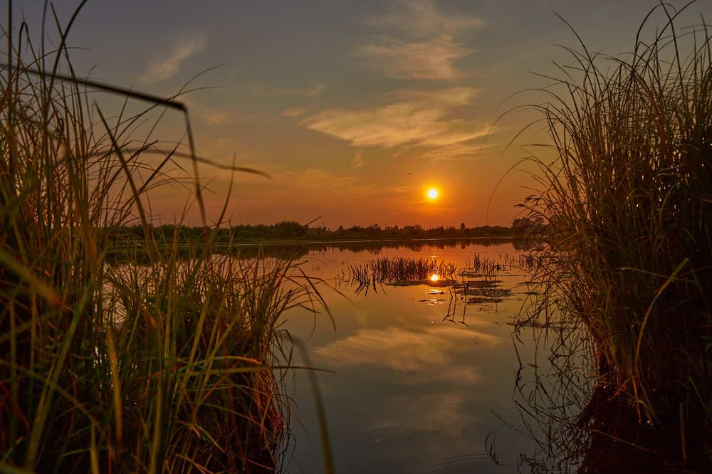 Photograph by КОНСТАНТИН ГОРДЕЕВ