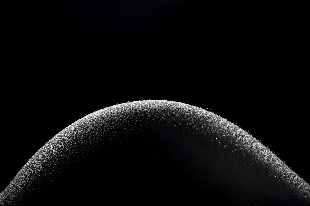 Photograph by Кудряшов Алексей