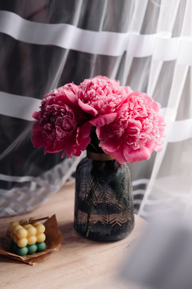 Photograph by Дарья Гомза