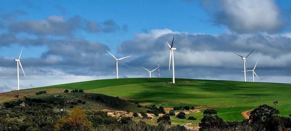Фотография автора Nancy Thompson