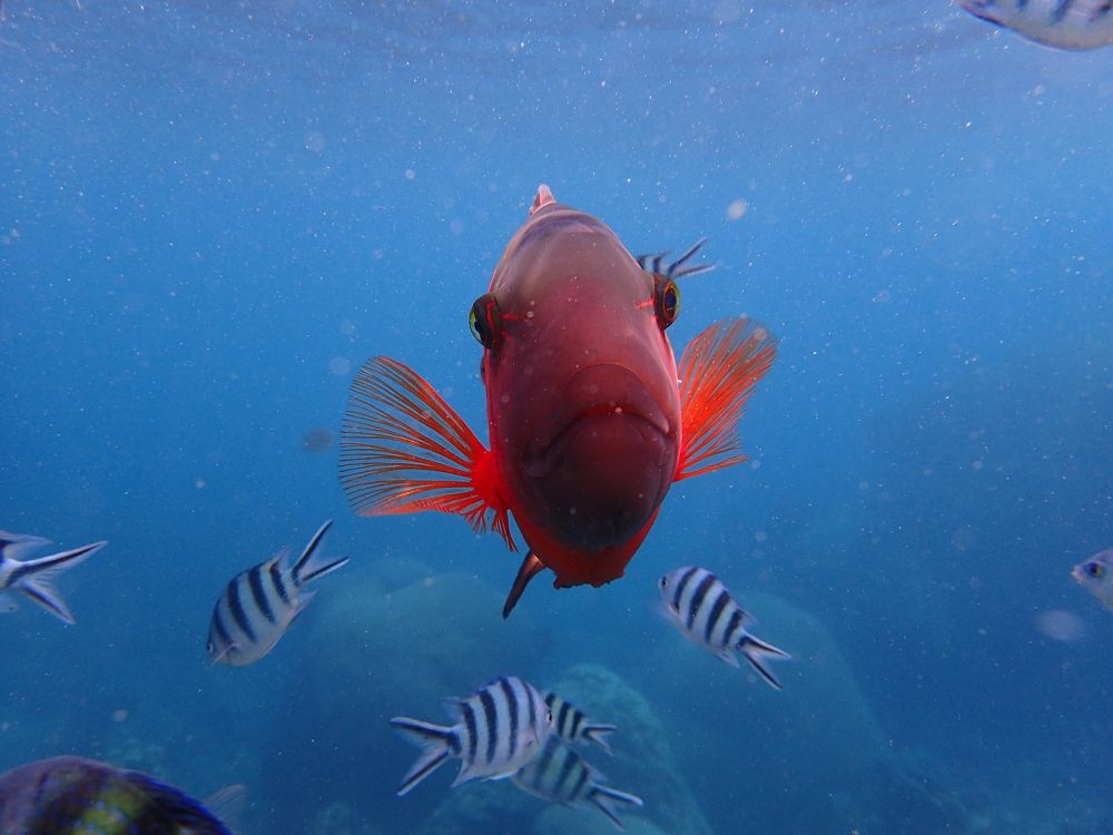 Photograph by Veronika Filipenko