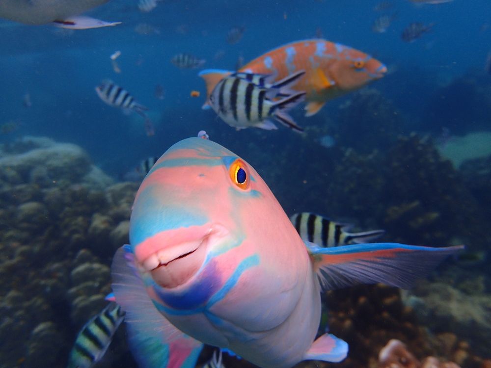 Photograph by Veronika Filipenko