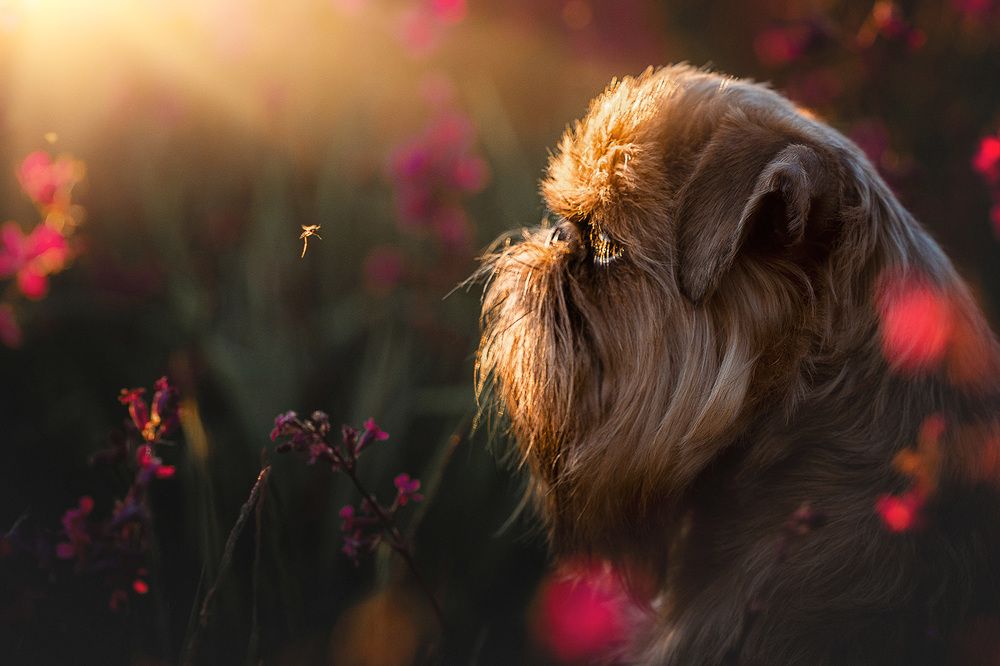 Фотография автора Оксана Серова