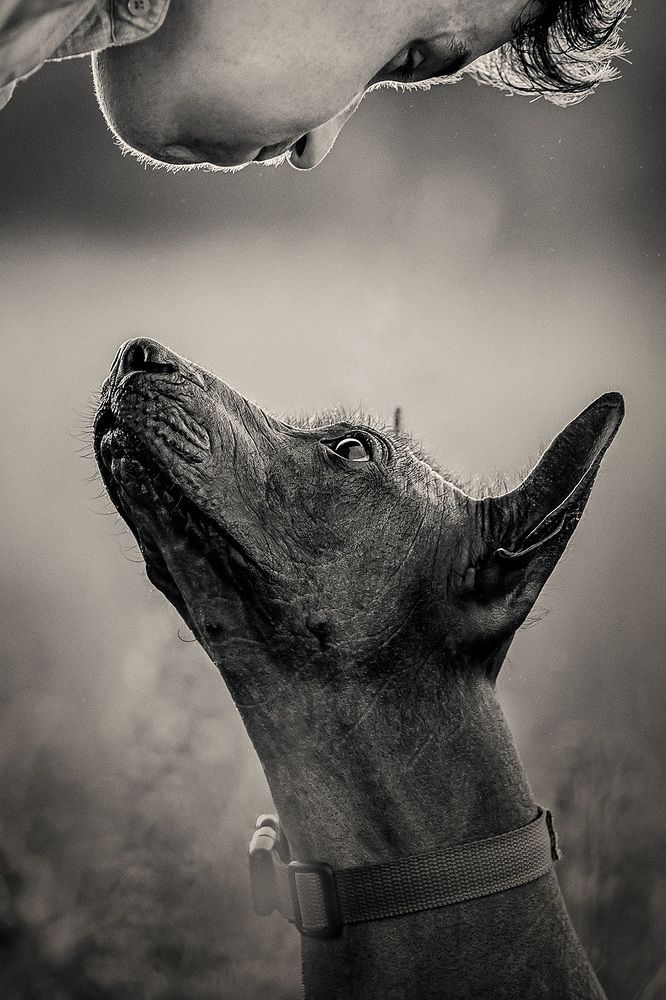 Фотография автора Оксана Серова