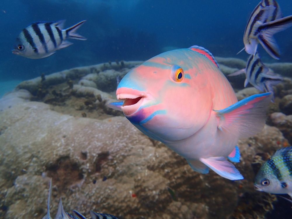 Photograph by Veronika Filipenko