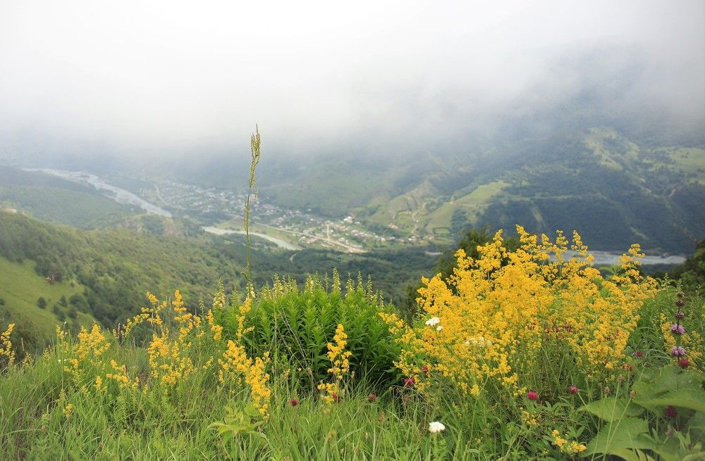 Photograph by Марина Юрченко