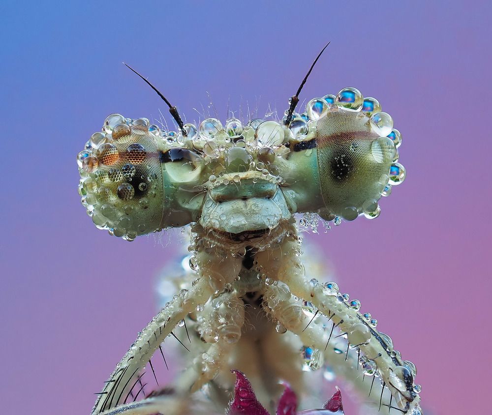 Photograph by Лукашук Евгений