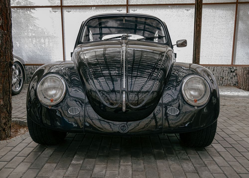 Photograph by БАРДЕНЦЕВ Александр