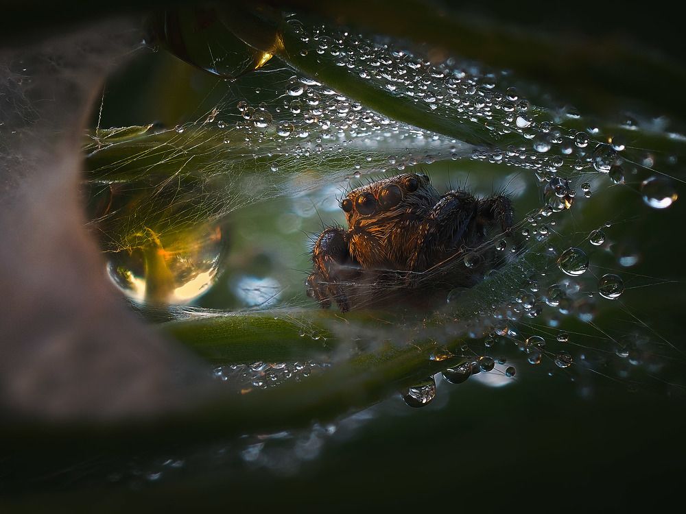 Photograph by Лукашук Евгений