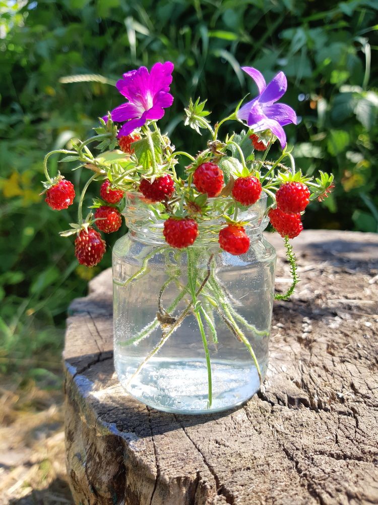 Photograph by Ольга Хромова