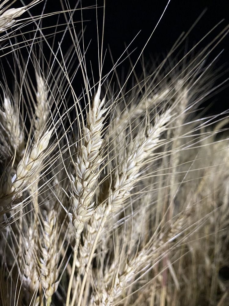 Photograph by Алексей Акулин