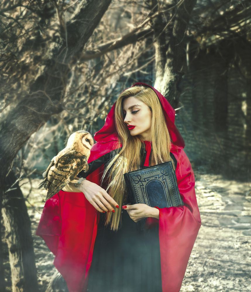 Red Riding Hood And The Golden Owl