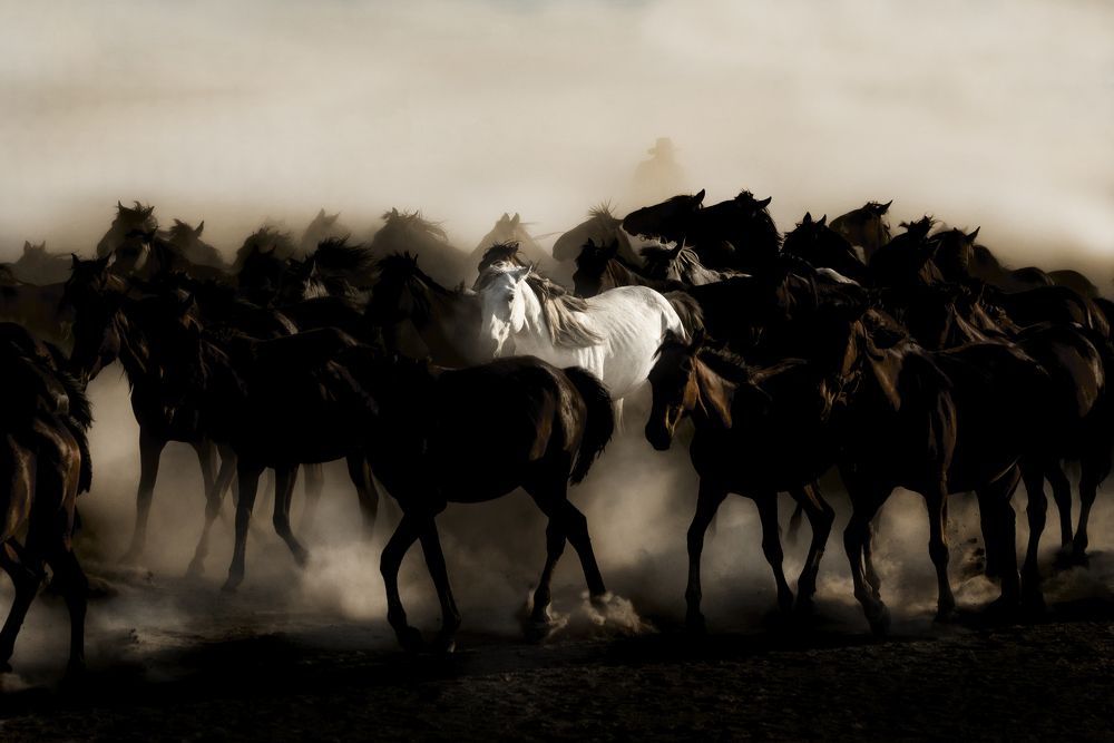 Photograph by Bahir DIBEKOGLU