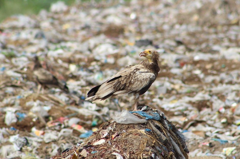 Photograph by Sarmad Sindhi