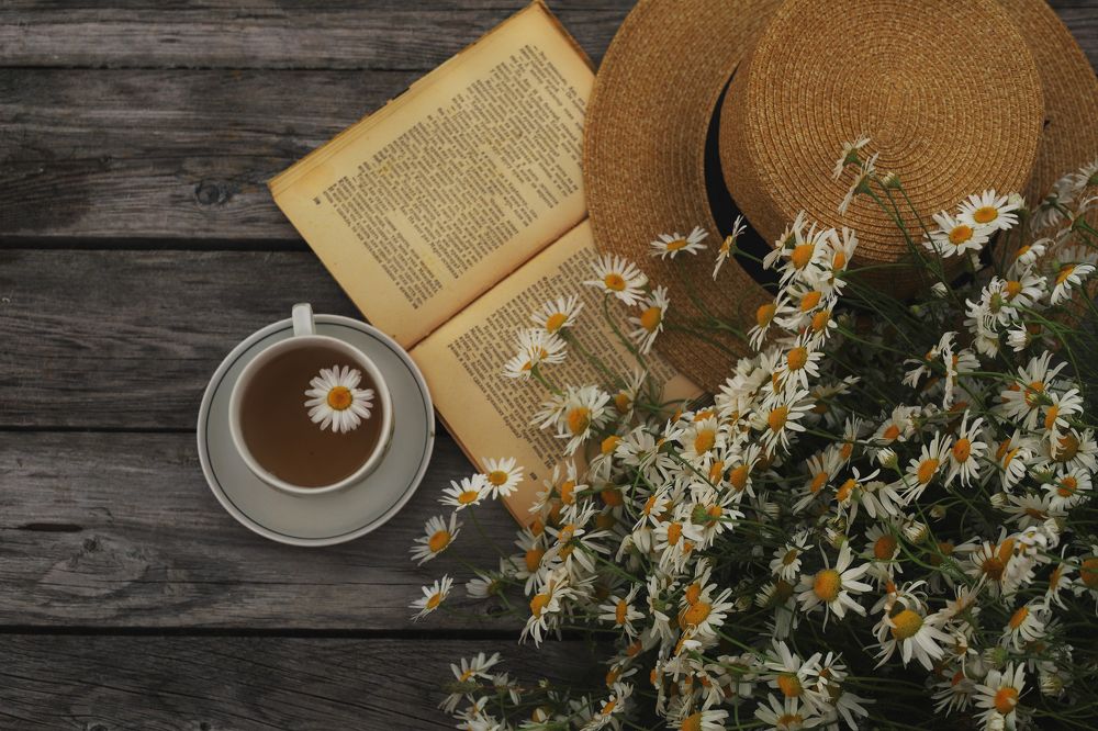 Photograph by Екатерина