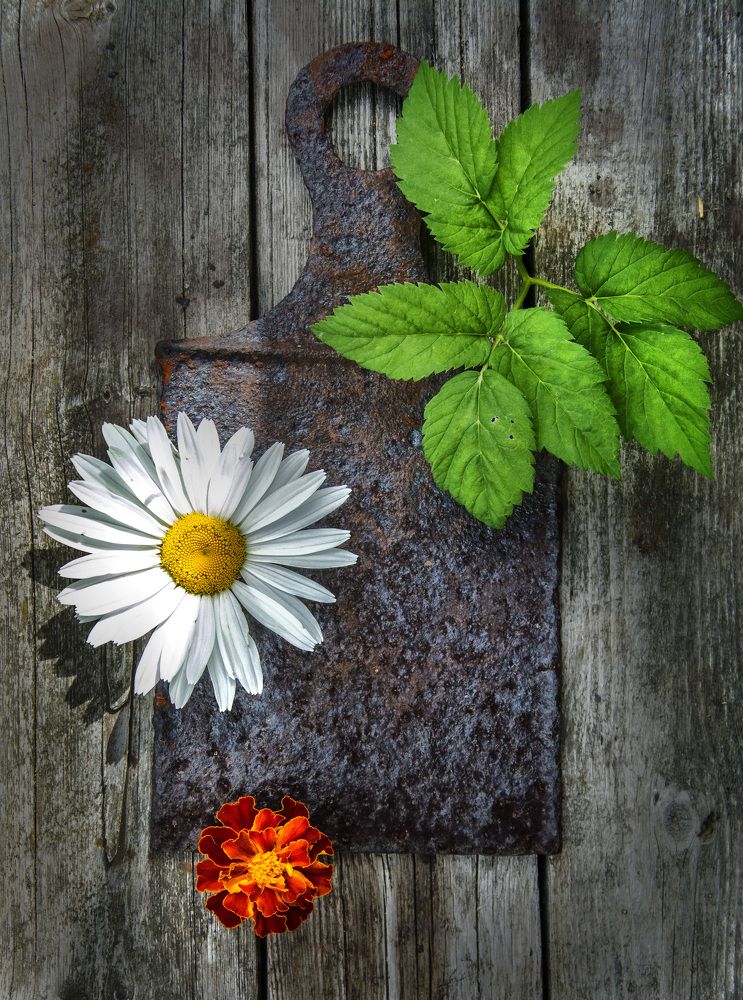 Photograph by Борис Кравецкий