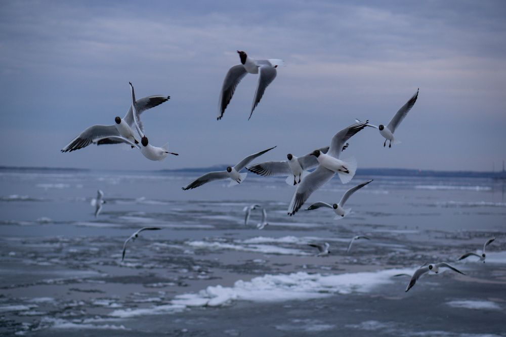 Photograph by Дмитрий Ряховский