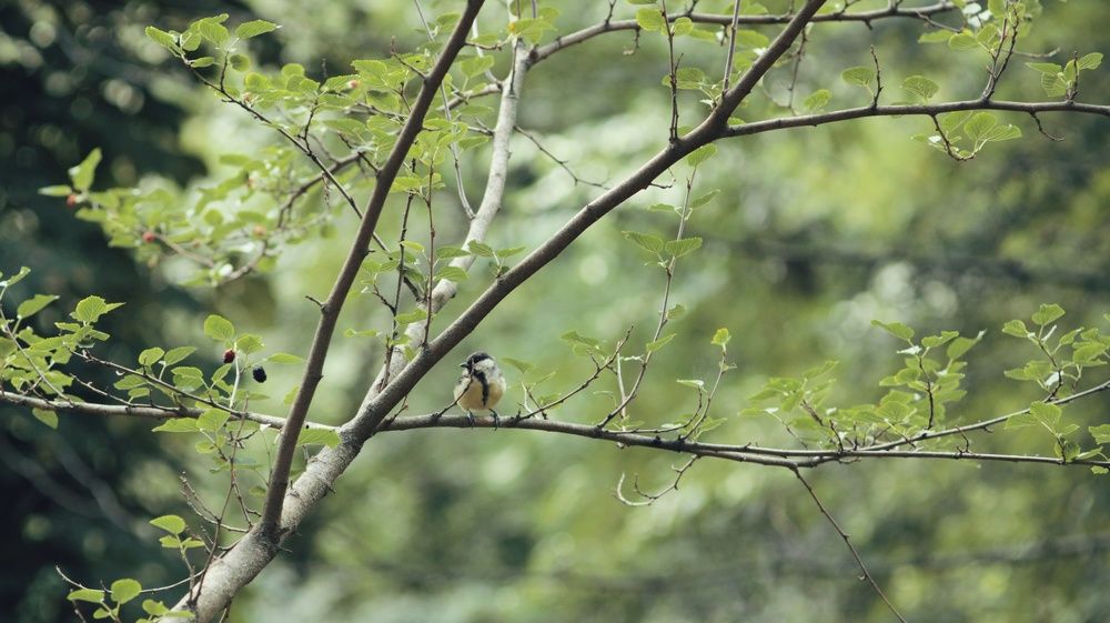 Photograph by Алёна Бондаренко