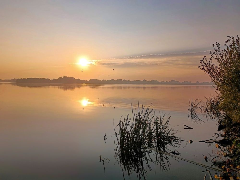 Photograph by Анастасия
