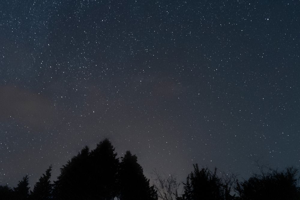 Photograph by Ayush Tripathi