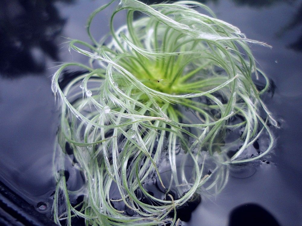 Photograph by Дмитрий Соколов