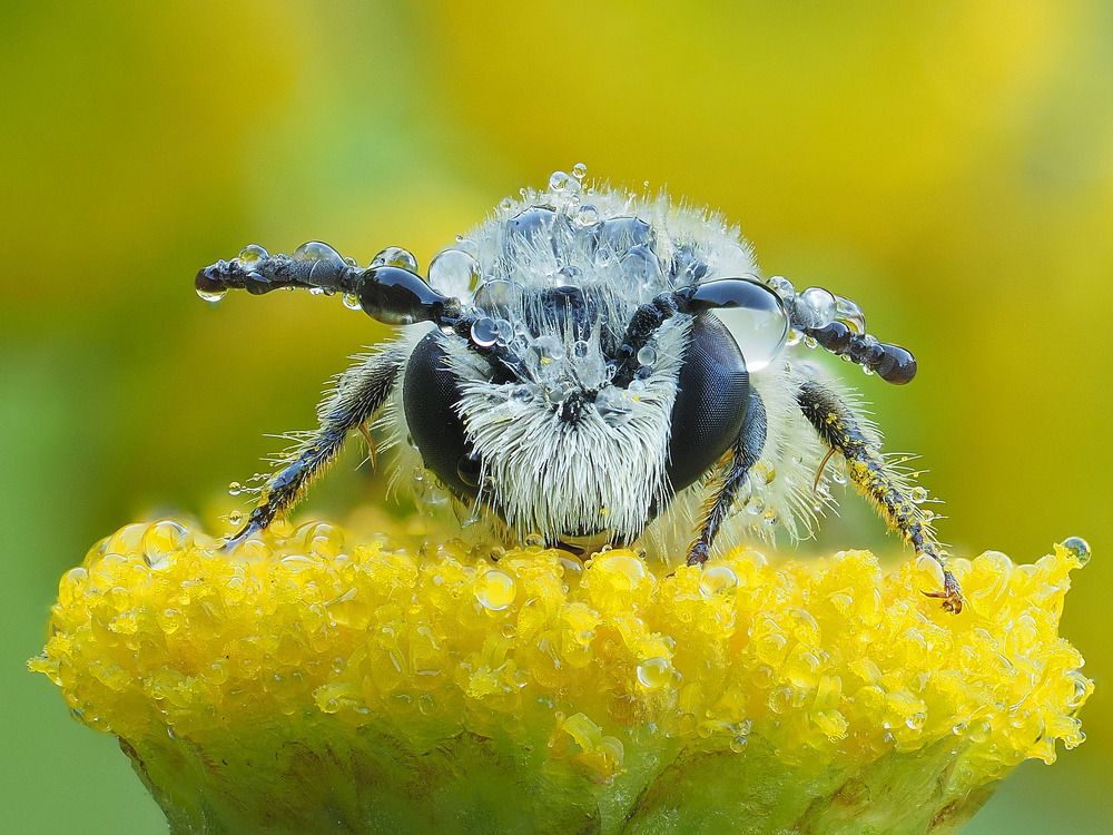 Photograph by Лукашук Евгений