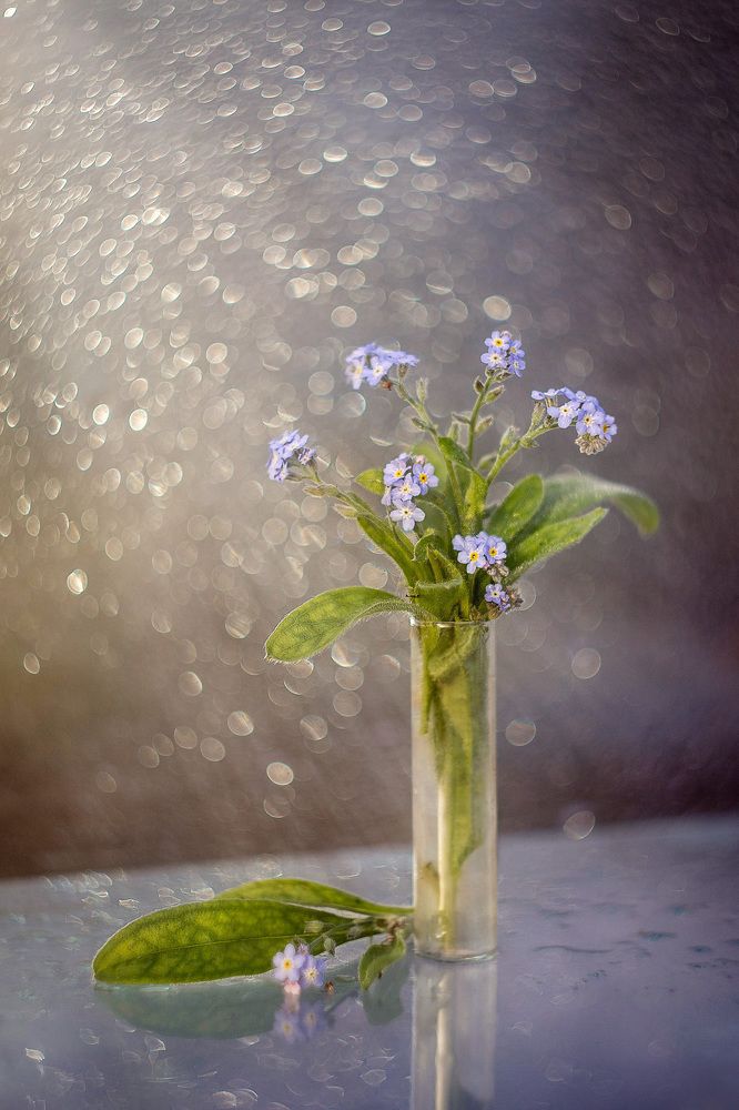 Photograph by Ольга Кобринская