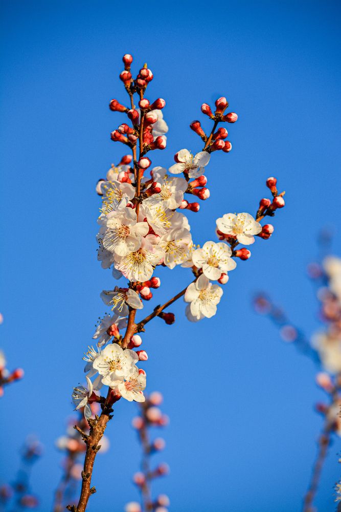 Photograph by Bachir Rabouh