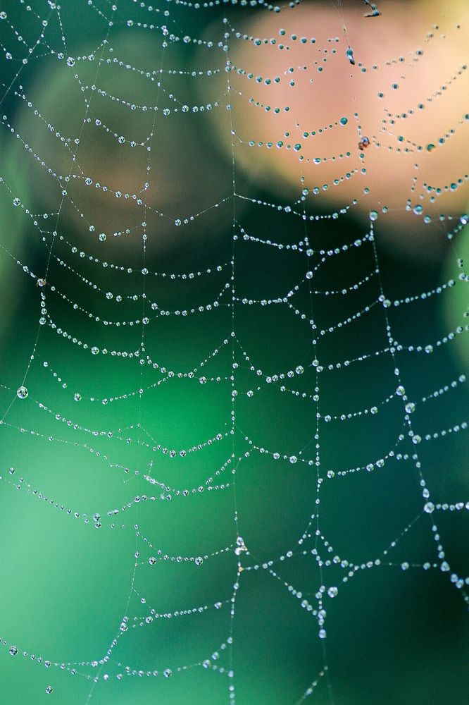 Photograph by Наталья Антипас