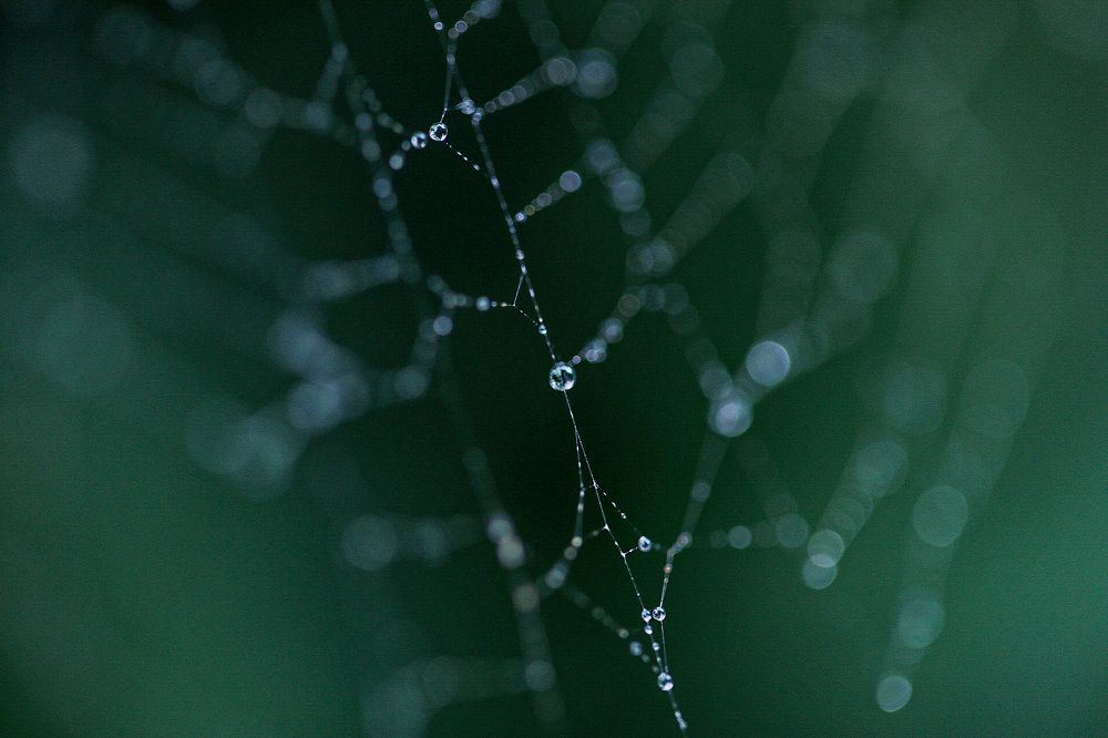 Photograph by Наталья Антипас